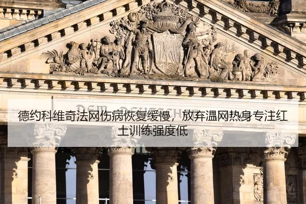 德约科维奇法网伤病恢复缓慢，放弃温网热身专注红土训练强度低