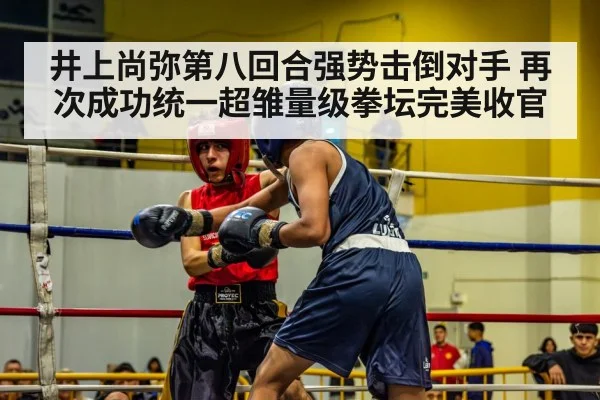 井上尚弥第八回合强势击倒对手 再次成功统一超雏量级拳坛完美收官